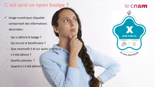 Valorisation des compétences pédagogiques par Open Badges