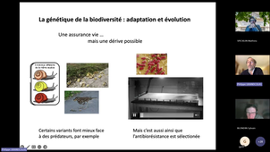 TED001_S6_2026_Erosion-de-la-biodiversite