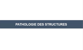 3-1_Pathologie_structure.mp4