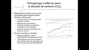 TED001 Séance 14 Cas 1